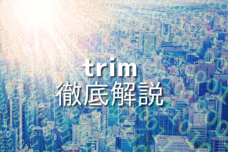 JavaScript trimを完全理解!5つの使い方とサンプルコード – Japanシーモア